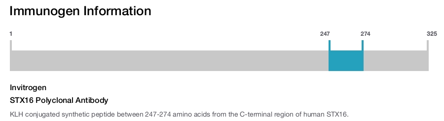 STX16 Polyclonal Antibody