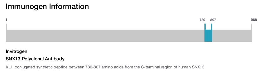 SNX13 Polyclonal Antibody