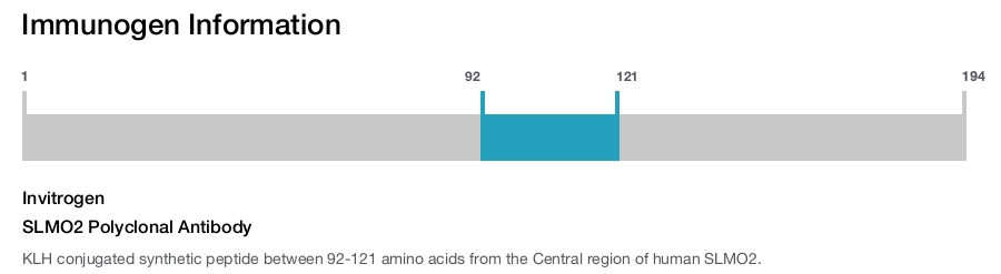 SLMO2 Polyclonal Antibody
