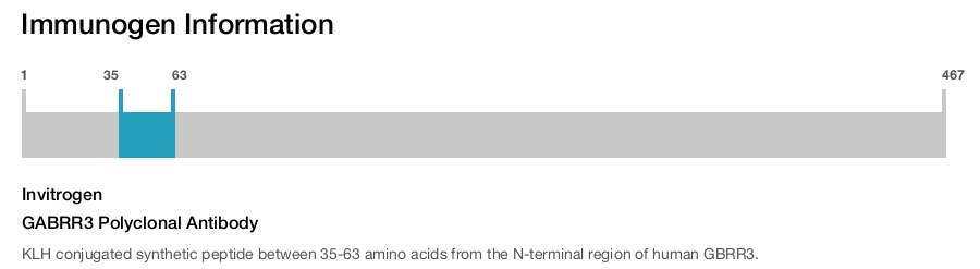 GABRR3 Polyclonal Antibody
