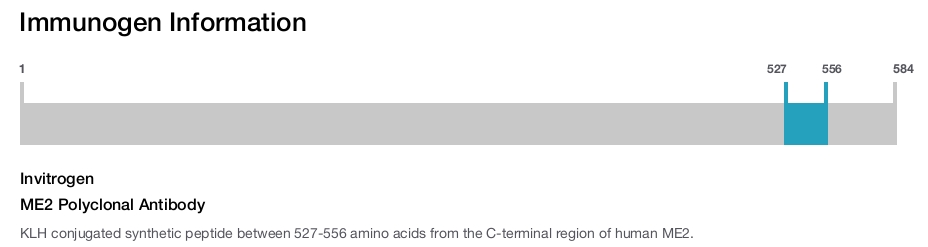 ME2 Polyclonal Antibody