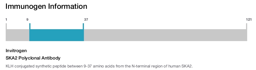 SKA2 Polyclonal Antibody