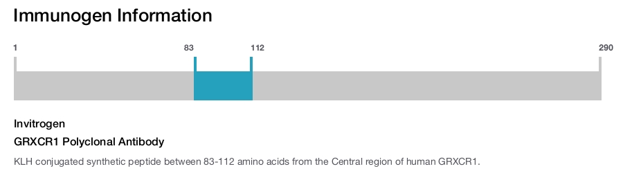 GRXCR1 Polyclonal Antibody