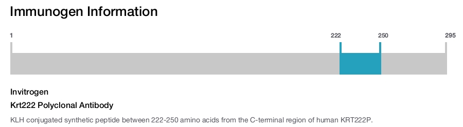 Krt222 Polyclonal Antibody