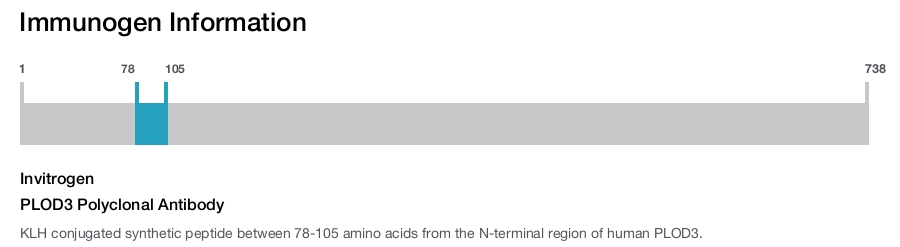 PLOD3 Polyclonal Antibody