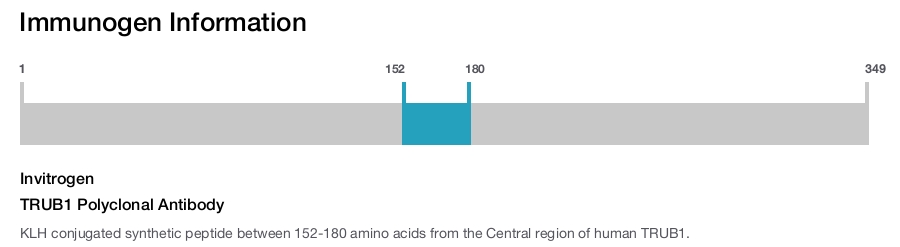 TRUB1 Polyclonal Antibody