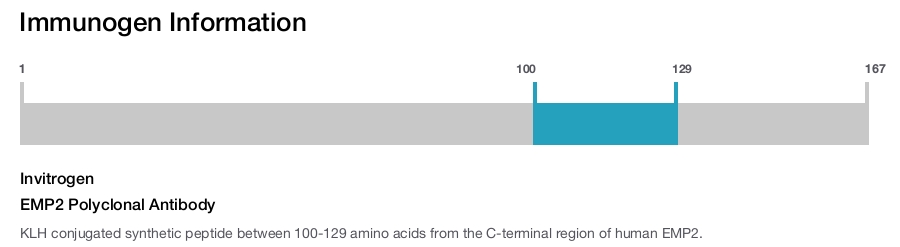 EMP2 Polyclonal Antibody