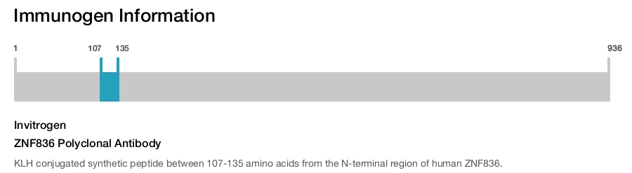 ZNF836 Polyclonal Antibody