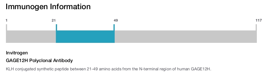 GAGE12H Polyclonal Antibody