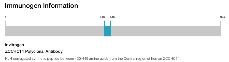 ZCCHC14 Polyclonal Antibody
