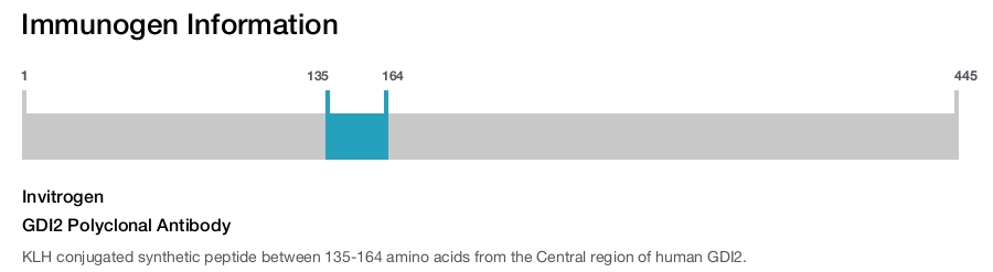 GDI2 Polyclonal Antibody