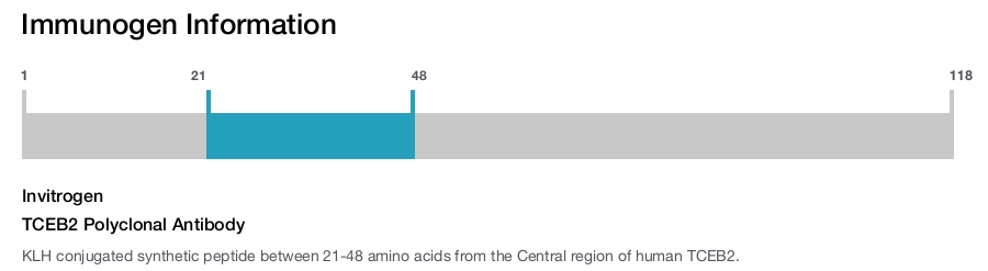 TCEB2 Polyclonal Antibody