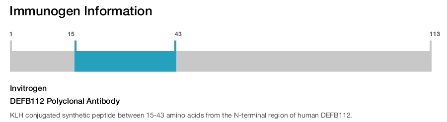 DEFB112 Polyclonal Antibody