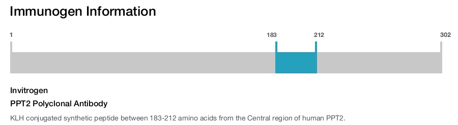 PPT2 Polyclonal Antibody