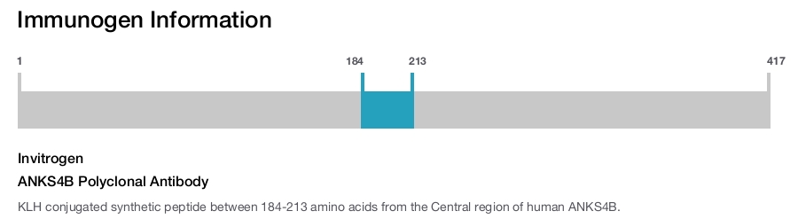ANKS4B Polyclonal Antibody