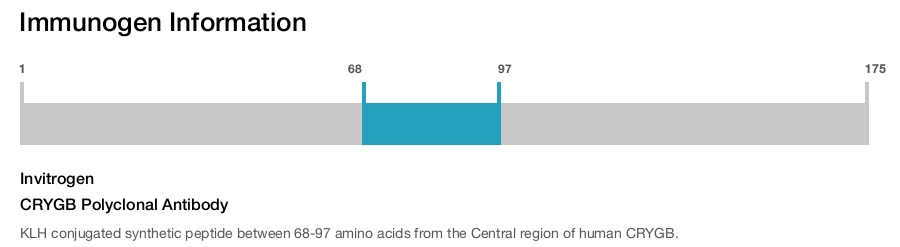 CRYGB Polyclonal Antibody