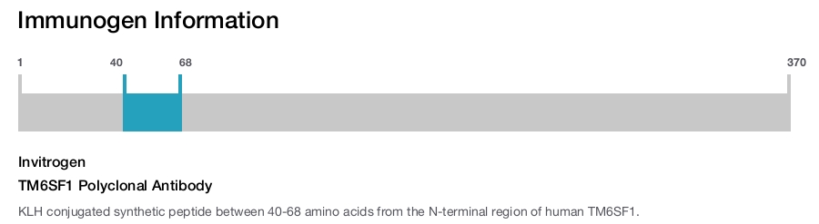 TM6SF1 Polyclonal Antibody
