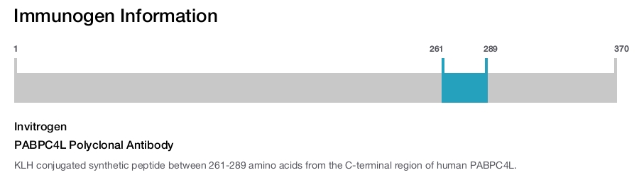 PABPC4L Polyclonal Antibody