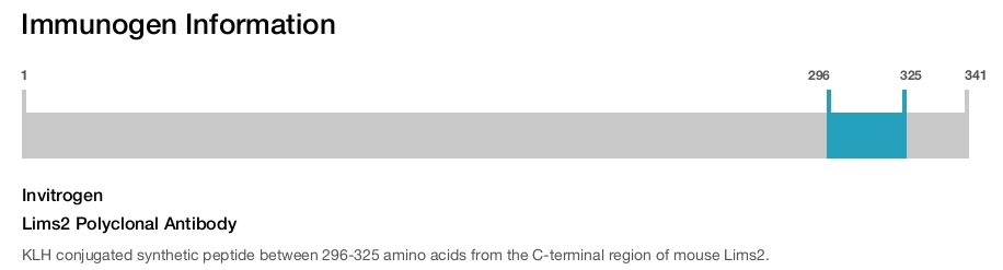 Lims2 Polyclonal Antibody