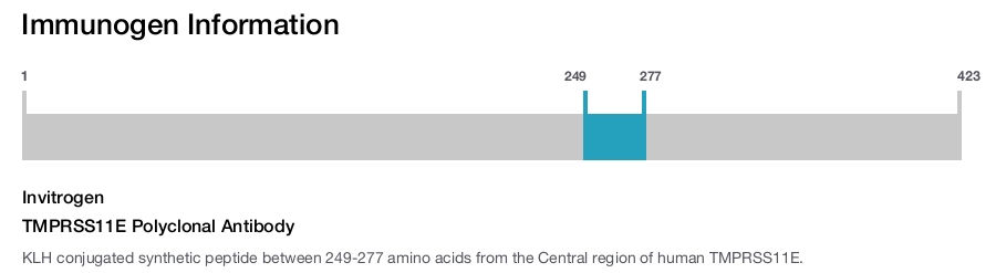 TMPRSS11E Polyclonal Antibody