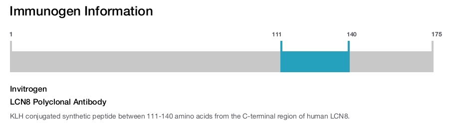 LCN8 Polyclonal Antibody