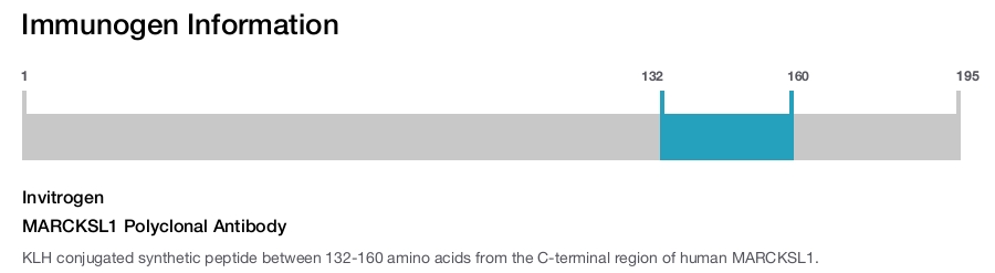 MARCKSL1 Polyclonal Antibody
