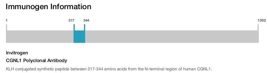CGNL1 Polyclonal Antibody