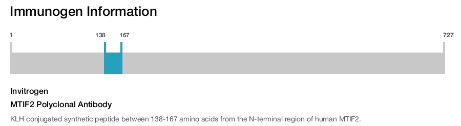MTIF2 Polyclonal Antibody