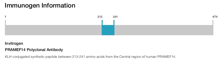 PRAMEF14 Polyclonal Antibody