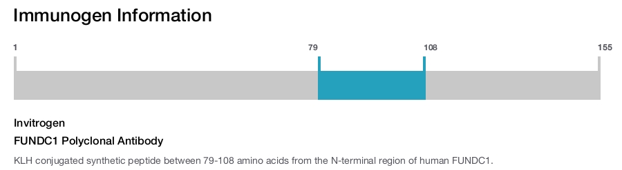 FUNDC1 Polyclonal Antibody
