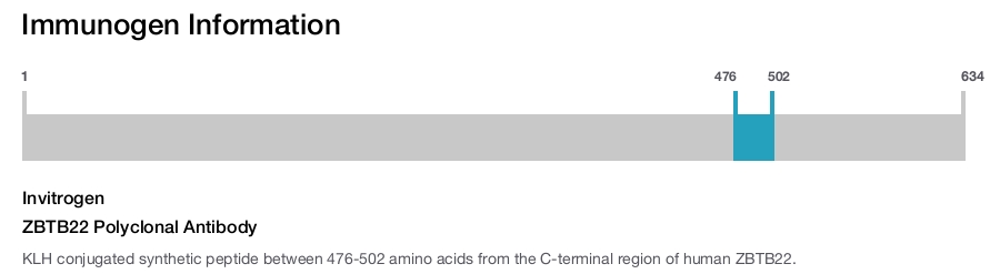 ZBTB22 Polyclonal Antibody