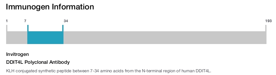 DDIT4L Polyclonal Antibody
