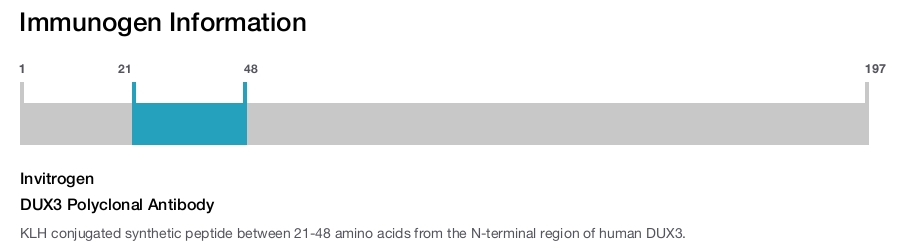 DUX3 Polyclonal Antibody