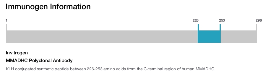 MMADHC Polyclonal Antibody