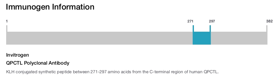 QPCTL Polyclonal Antibody