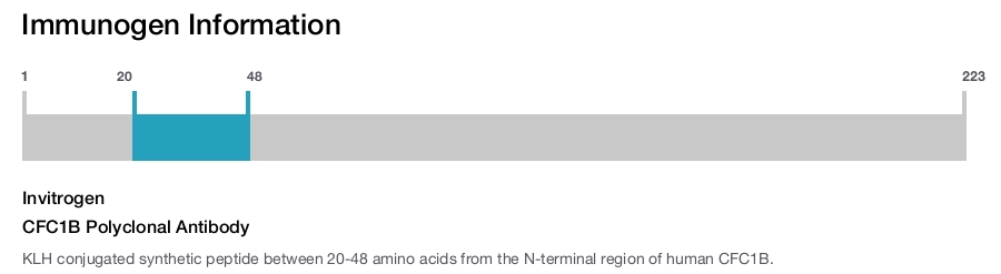 CFC1B Polyclonal Antibody