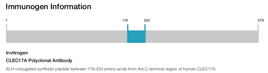 CLEC17A Polyclonal Antibody
