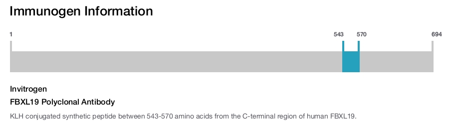 FBXL19 Polyclonal Antibody