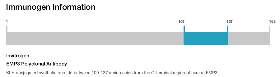 EMP3 Polyclonal Antibody