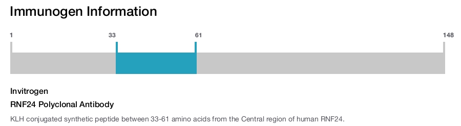 RNF24 Polyclonal Antibody