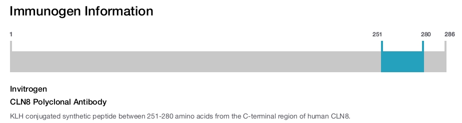 CLN8 Polyclonal Antibody