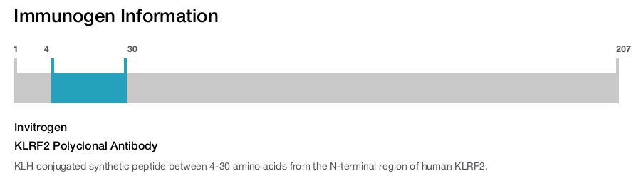 KLRF2 Polyclonal Antibody