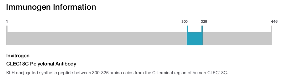 CLEC18C Polyclonal Antibody