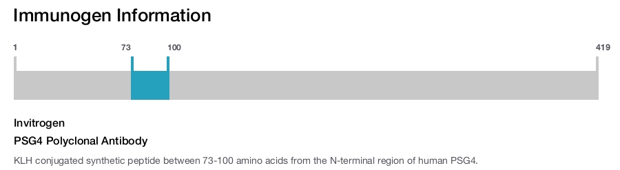 PSG4 Polyclonal Antibody