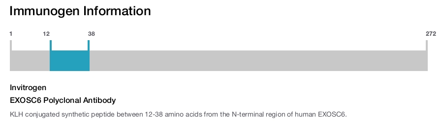 EXOSC6 Polyclonal Antibody