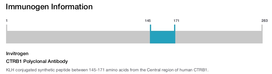 CTRB1 Polyclonal Antibody