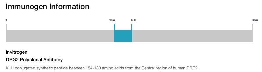 DRG2 Polyclonal Antibody