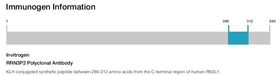 RRN3P2 Polyclonal Antibody