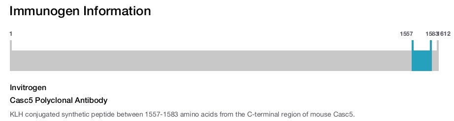 Casc5 Polyclonal Antibody