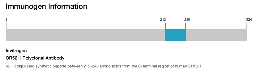 OR52I1 Polyclonal Antibody